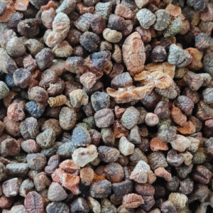 Green-Cardamom-Seeds-Kerala
