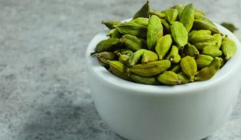 buy good quality green cardamom from machamangalath traders
